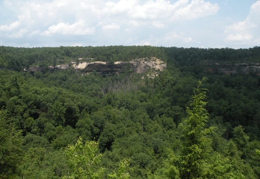 Gladie Creek, Red River Gorge